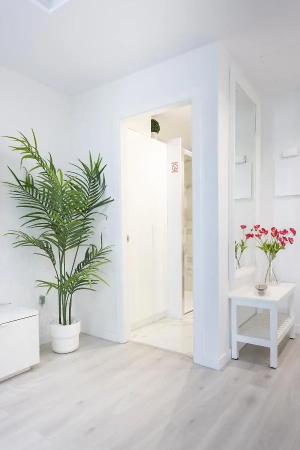 Home2Book Olympo Suite Santa Cruz de Tenerife Spain